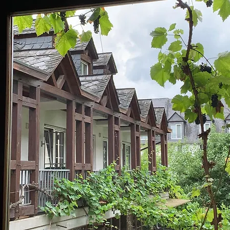 Apartment Moselbleibe Mainzer *