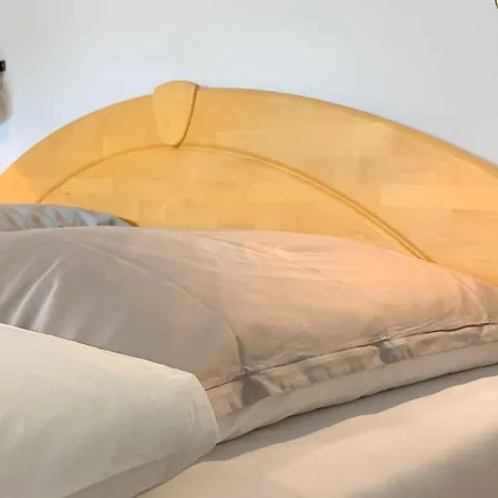 Apartment Moselbleibe Mainzer *