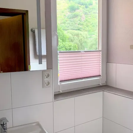 Apartment Moselbleibe Mainzer