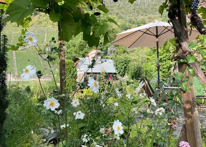 Moselbleibe Mainzer 에른스트