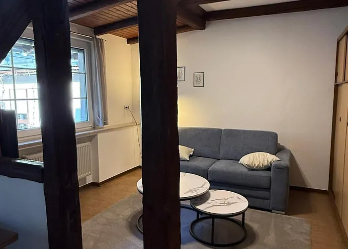 Apartment Moselbleibe Mainzer